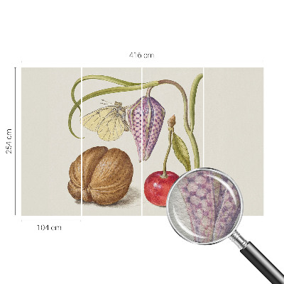 Fototapet vlies pe perete Sommerfugleplante