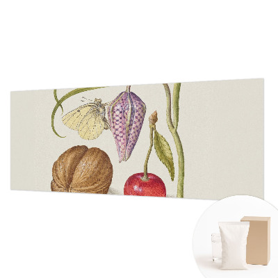 Fototapet vlies pe perete Sommerfugleplante