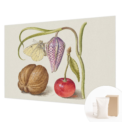 Fototapet vlies pe perete Sommerfugleplante