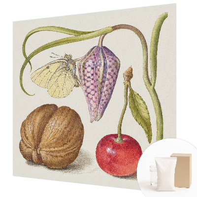 Fototapet vlies pe perete Sommerfugleplante