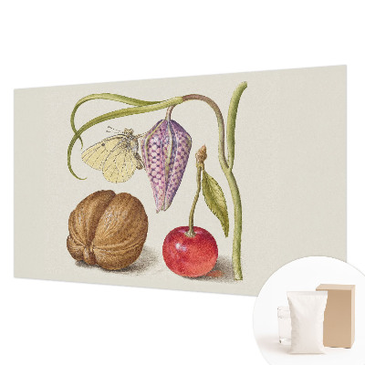 Fototapet vlies pe perete Sommerfugleplante