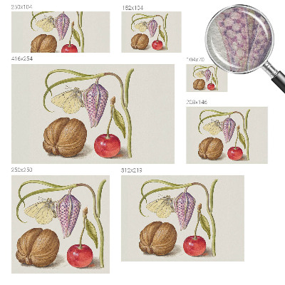 Fototapet vlies pe perete Sommerfugleplante