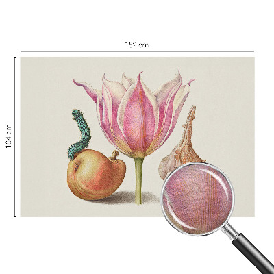 Tapet foto pe vlies Naturlig symbiose