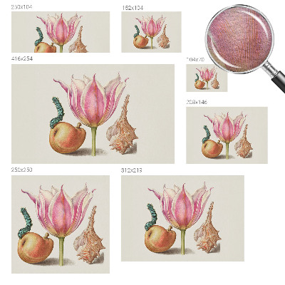 Tapet foto pe vlies Naturlig symbiose