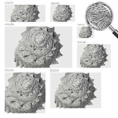 Tapet foto decorativ Naturens kunst