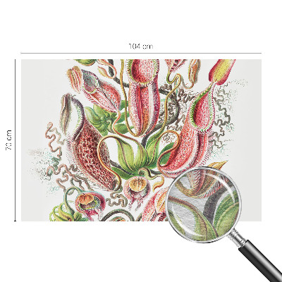 Fototapet decorativ pe perete Plantedetaljer