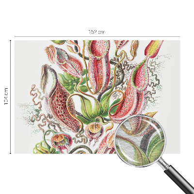 Fototapet decorativ pe perete Plantedetaljer