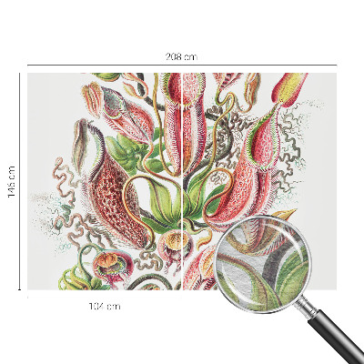 Fototapet decorativ pe perete Plantedetaljer