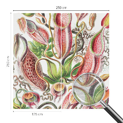 Fototapet decorativ pe perete Plantedetaljer