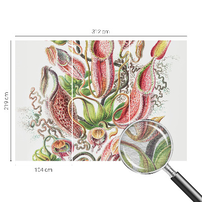 Fototapet decorativ pe perete Plantedetaljer