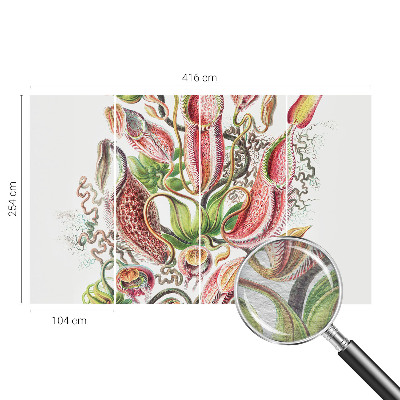 Fototapet decorativ pe perete Plantedetaljer