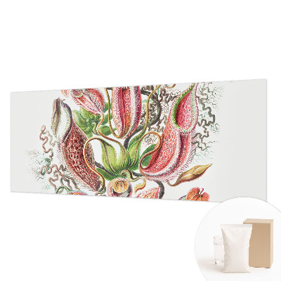 Fototapet decorativ pe perete Plantedetaljer