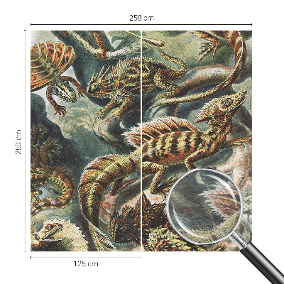 Fototapet modern Eksotiske krybdyr