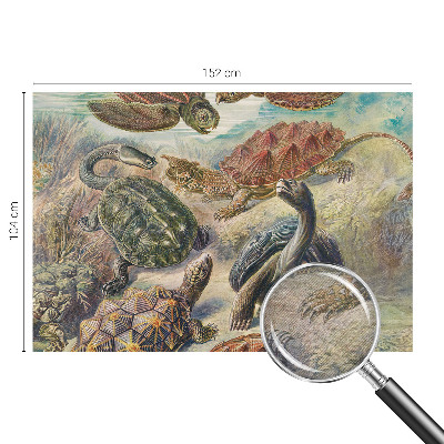 Fototapet modern la comandă Skildpaddefauna