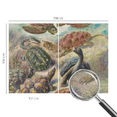 Fototapet modern la comandă Skildpaddefauna