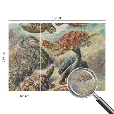 Fototapet modern la comandă Skildpaddefauna