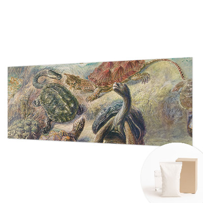 Fototapet modern la comandă Skildpaddefauna