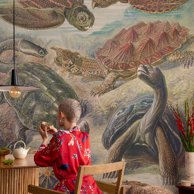 Fototapet modern la comandă Skildpaddefauna