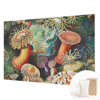 Fototapet la comandă pentru living cu design Fancy anemoner