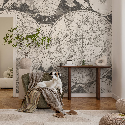 Fototapet pentru dormitor Stjernekort