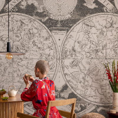 Fototapet pentru dormitor Stjernekort