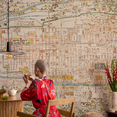 Fototapet Antik kort