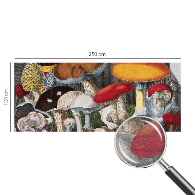 Tapet foto pe vlies Botaniske svampe