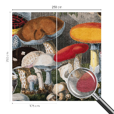 Tapet foto pe vlies Botaniske svampe