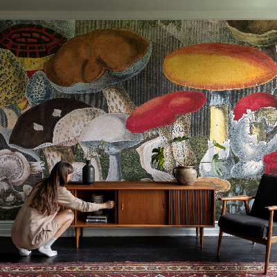 Tapet foto pe vlies Botaniske svampe