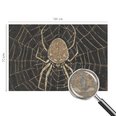 Fototapet vlies imprimat Edderkoppens spind