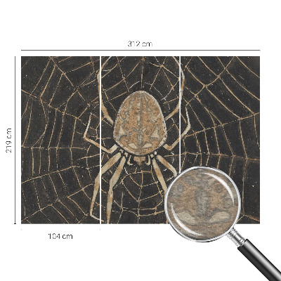 Fototapet vlies imprimat Edderkoppens spind