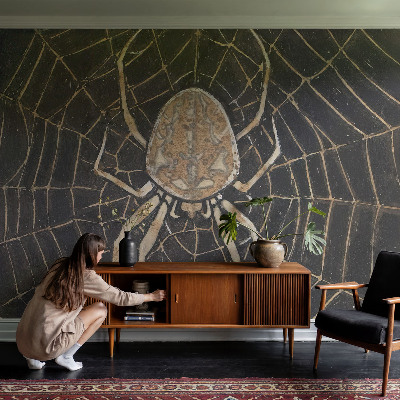 Fototapet vlies imprimat Edderkoppens spind