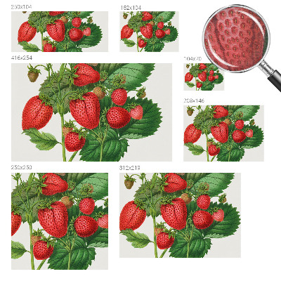 Fototapet vlies pentru copii Sommerfrugter