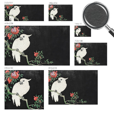 Fototapet modern pentru living Granatæble papegøje