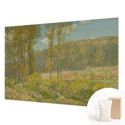 Fototapet modern pentru living cu peisaj forestier Skovlandskab