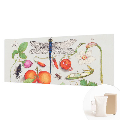 Tapet foto pe vlies Naturillustration