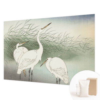 Fototapet vlies pentru dormitor cu motiv „Hejrer i græsset”