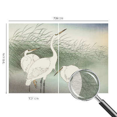 Fototapet vlies pentru dormitor Hejrer i græsset