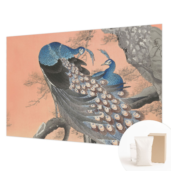 Tapet foto Påfugleagtig elegance