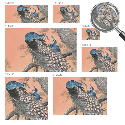 Tapet foto Påfugleagtig elegance