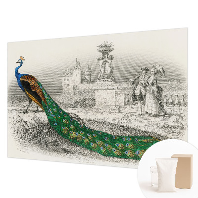 Tapet foto decorativ Farverige fjer