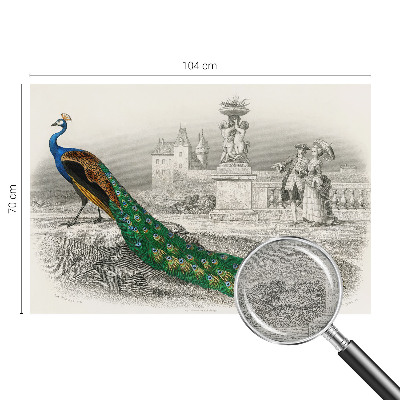 Tapet foto decorativ Farverige fjer