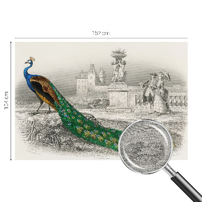 Tapet foto decorativ Farverige fjer