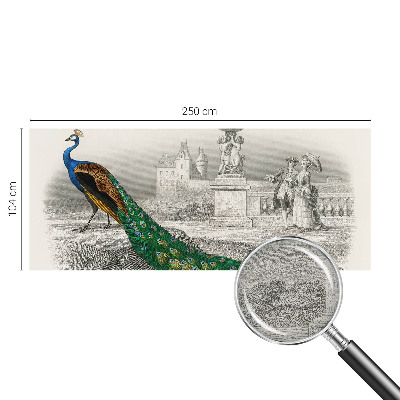 Tapet foto decorativ Farverige fjer