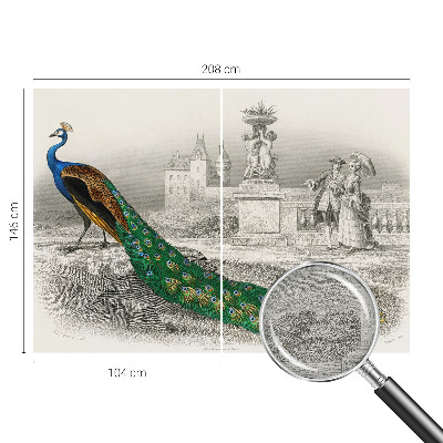 Tapet foto decorativ Farverige fjer