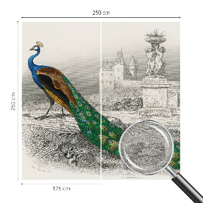 Tapet foto decorativ Farverige fjer