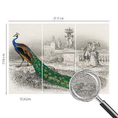 Tapet foto decorativ Farverige fjer