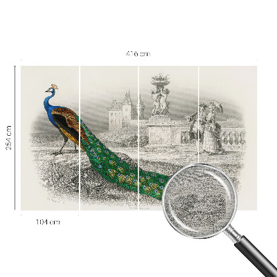 Tapet foto decorativ Farverige fjer