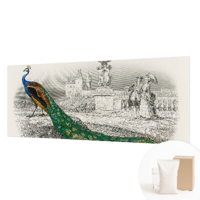 Tapet foto decorativ Farverige fjer