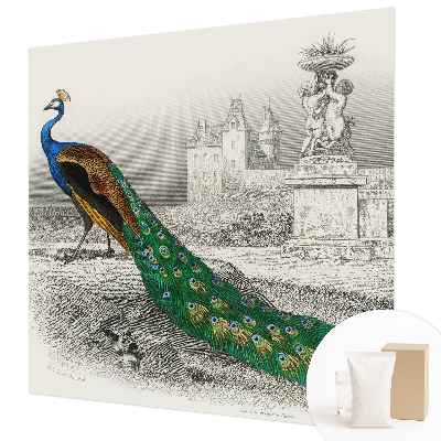 Tapet foto decorativ Farverige fjer